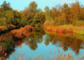 Veekogude tervendamine